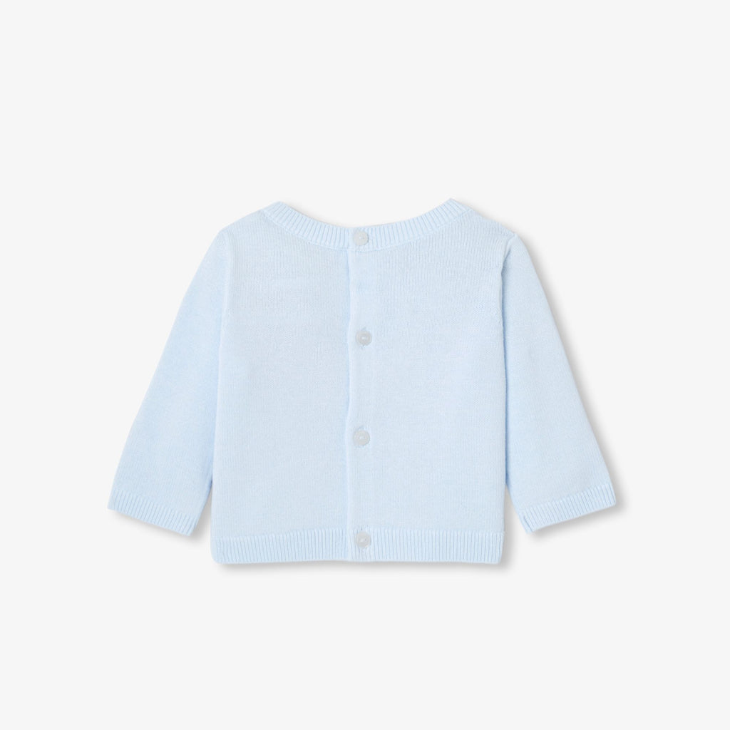 Baby boy cotton jersey jumper - Light Blue