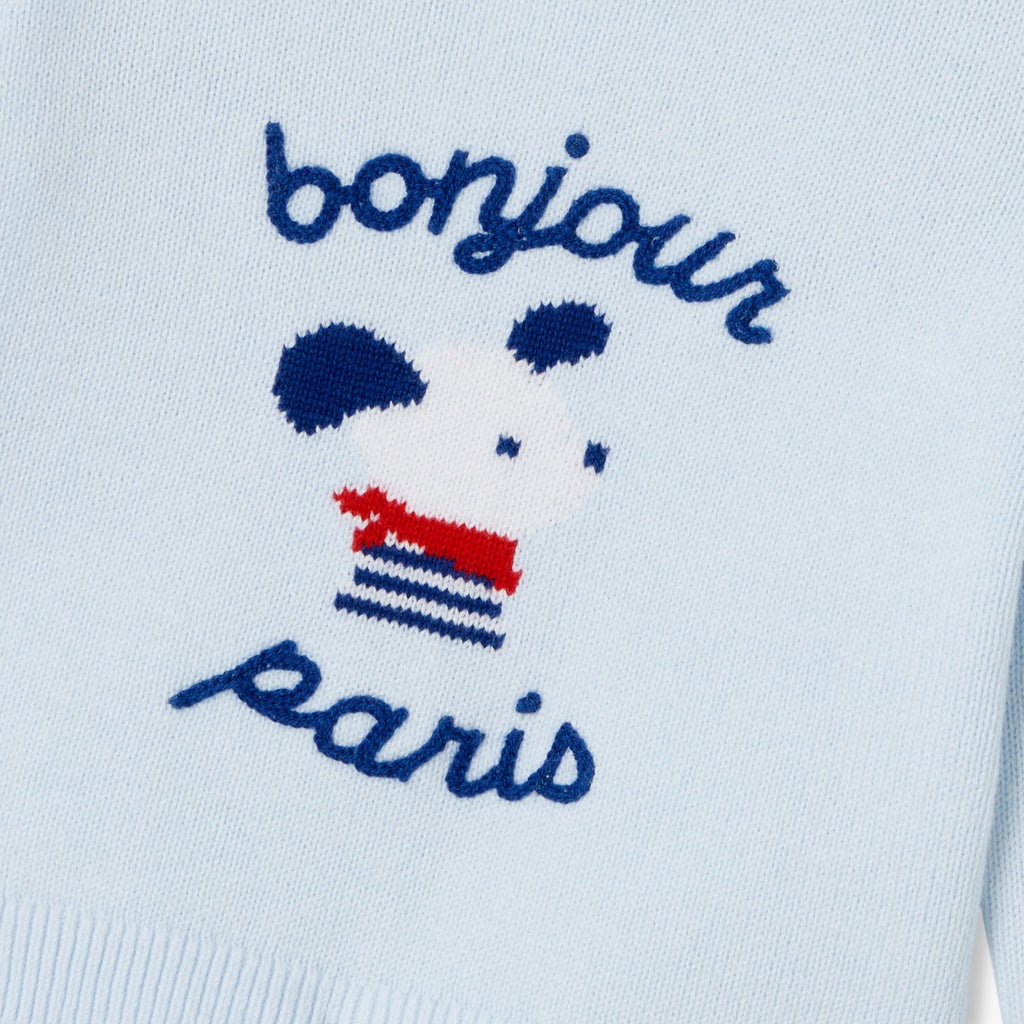 Baby boy cotton jersey jumper - Light Blue